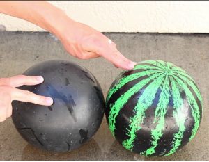 bola dan tembikai, bola, tembikai, buah,