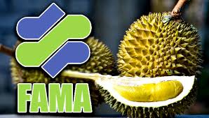 durian fama, 