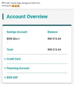 bpn2.0 dah masuk